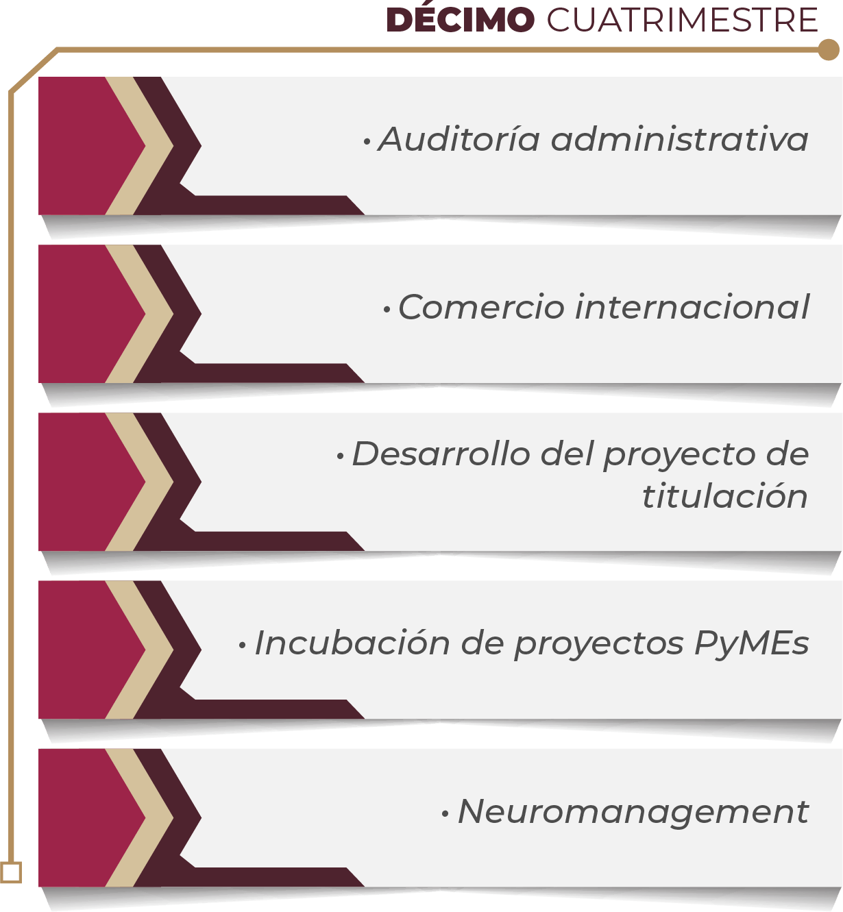 MAPA CURRICULAR GESTIÓN